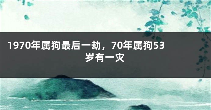 1970年属狗最后一劫，70年属狗53岁有一灾