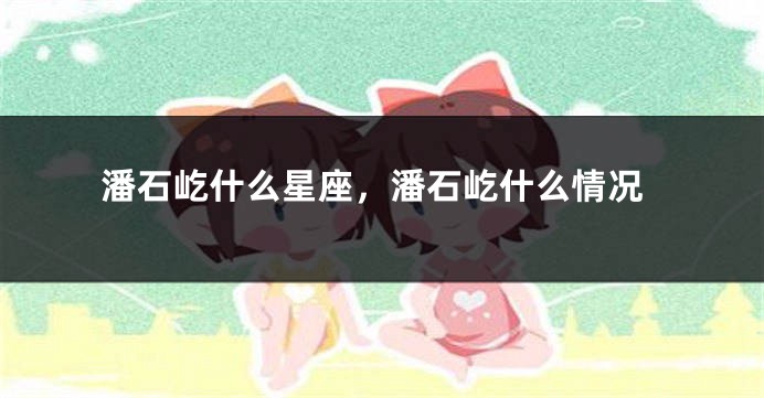 潘石屹什么星座，潘石屹什么情况