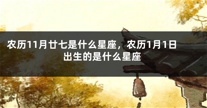 农历11月廿七是什么星座，农历1月1日出生的是什么星座