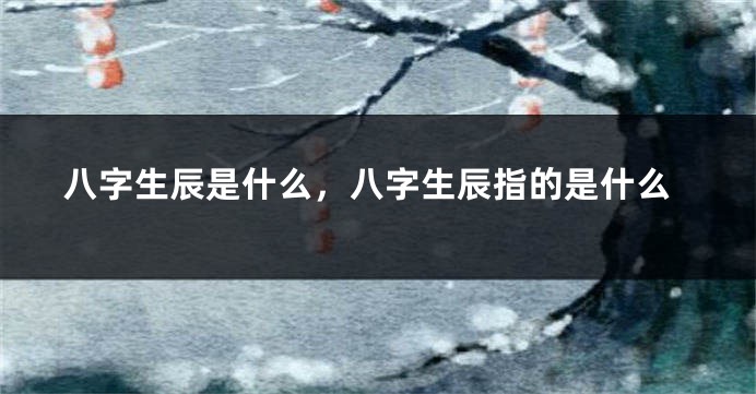 八字生辰是什么，八字生辰指的是什么