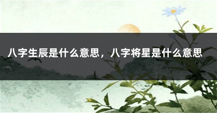 八字生辰是什么意思，八字将星是什么意思