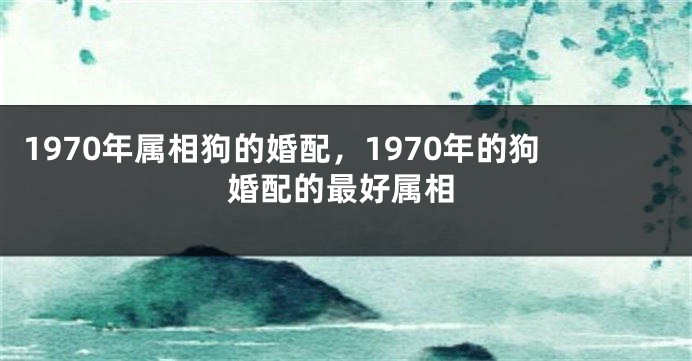 1970年属相狗的婚配，1970年的狗婚配的最好属相