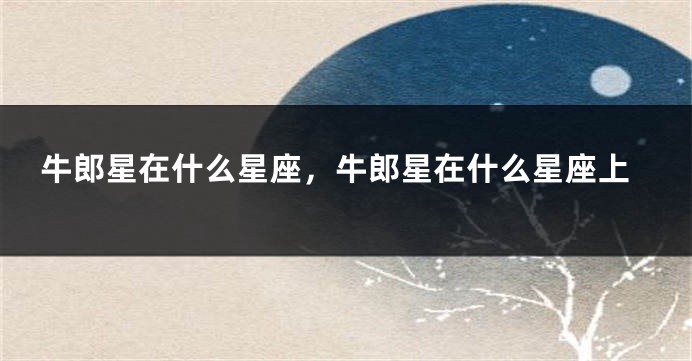 牛郎星在什么星座，牛郎星在什么星座上