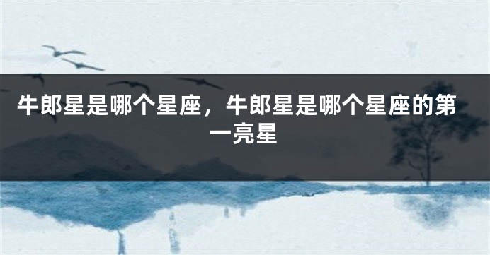 牛郎星是哪个星座，牛郎星是哪个星座的第一亮星