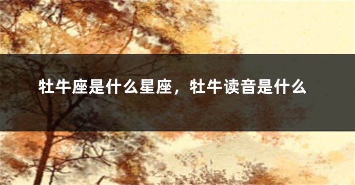 牡牛座是什么星座，牡牛读音是什么