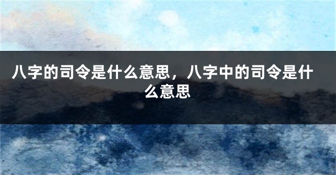 八字的司令是什么意思，八字中的司令是什么意思