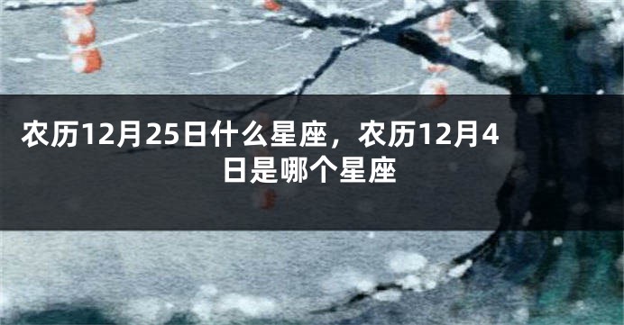 农历12月25日什么星座，农历12月4日是哪个星座