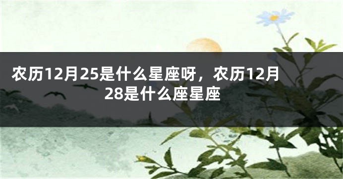 农历12月25是什么星座呀，农历12月28是什么座星座