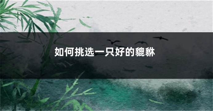 如何挑选一只好的貔貅