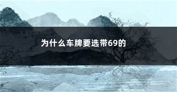 为什么车牌要选带69的