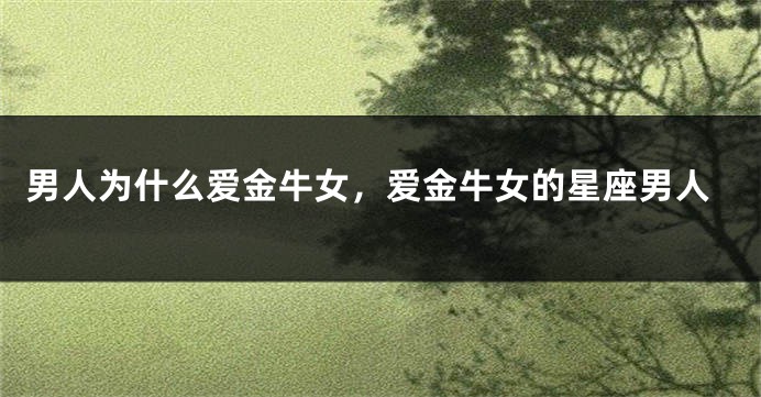 男人为什么爱金牛女，爱金牛女的星座男人
