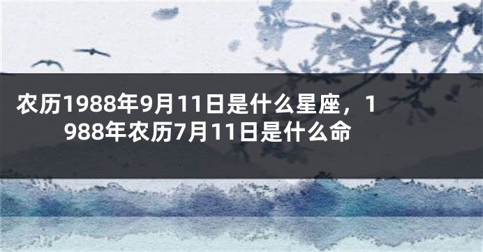 农历1988年9月11日是什么星座，1988年农历7月11日是什么命