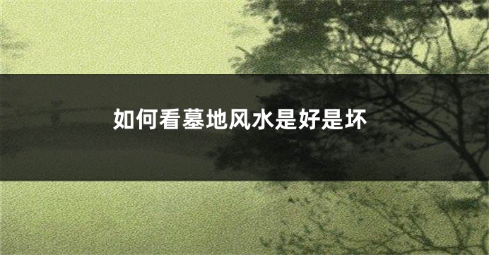 如何看墓地风水是好是坏