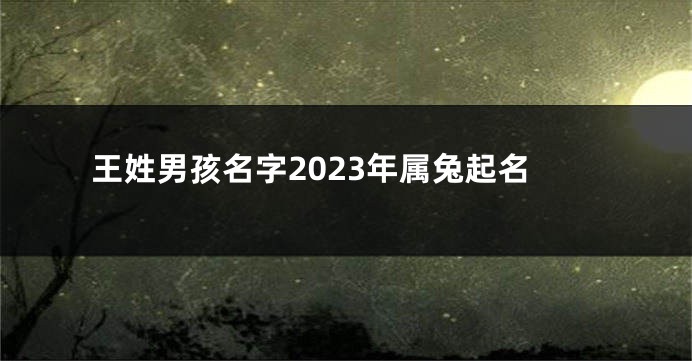 王姓男孩名字2023年属兔起名