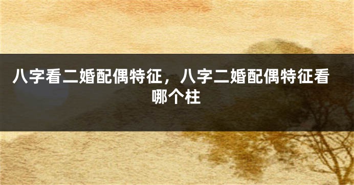 八字看二婚配偶特征，八字二婚配偶特征看哪个柱