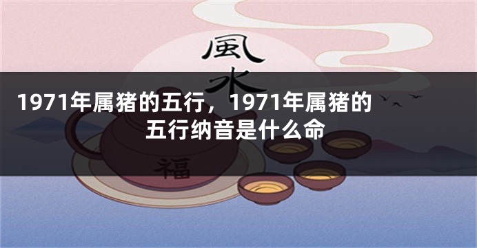 1971年属猪的五行，1971年属猪的五行纳音是什么命