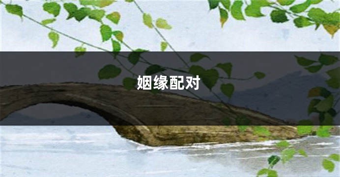 姻缘配对
