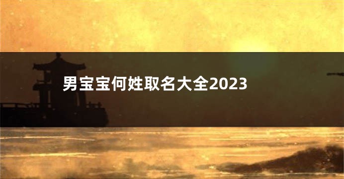 男宝宝何姓取名大全2023