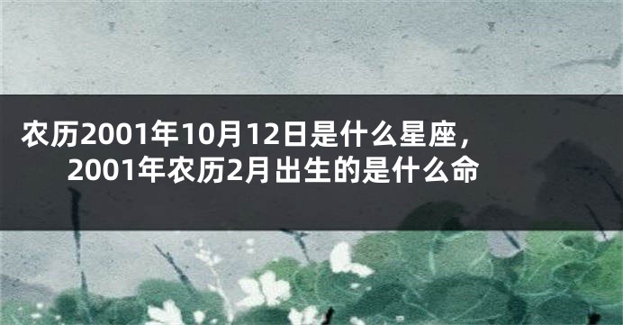 农历2001年10月12日是什么星座，2001年农历2月出生的是什么命