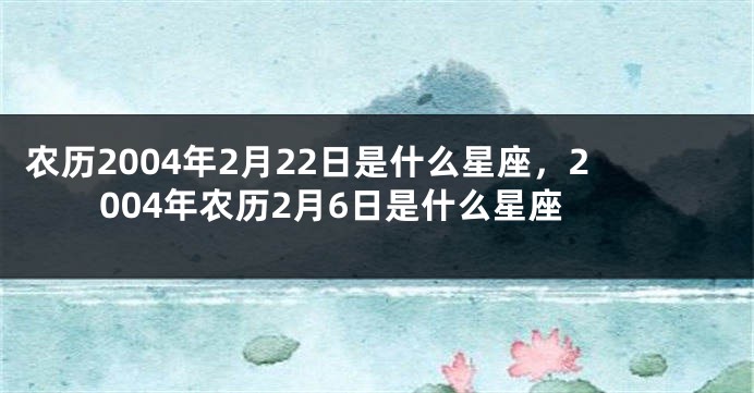 农历2004年2月22日是什么星座，2004年农历2月6日是什么星座