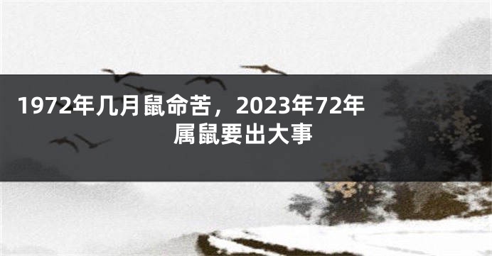 1972年几月鼠命苦，2023年72年属鼠要出大事