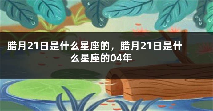 腊月21日是什么星座的，腊月21日是什么星座的04年
