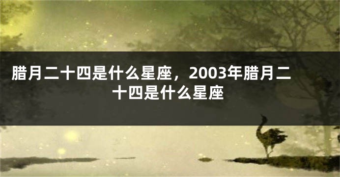 腊月二十四是什么星座，2003年腊月二十四是什么星座