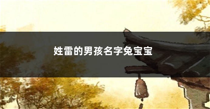 姓雷的男孩名字兔宝宝