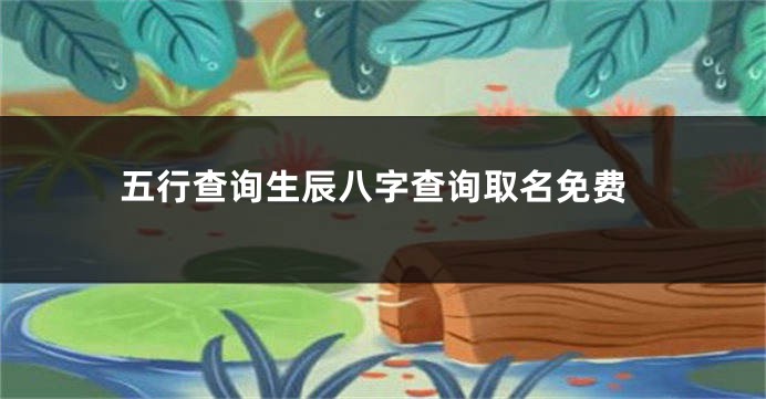 五行查询生辰八字查询取名免费