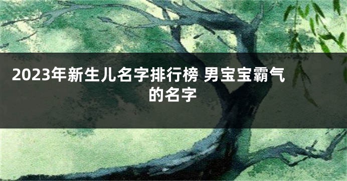 2023年新生儿名字排行榜 男宝宝霸气的名字