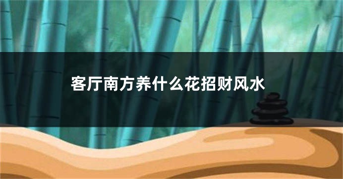 客厅南方养什么花招财风水