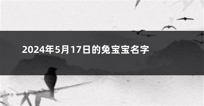 2024年5月17日的兔宝宝名字