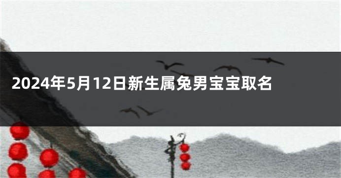 2024年5月12日新生属兔男宝宝取名