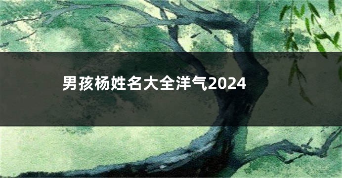 男孩杨姓名大全洋气2024