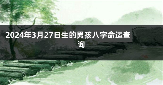 2024年3月27日生的男孩八字命运查询