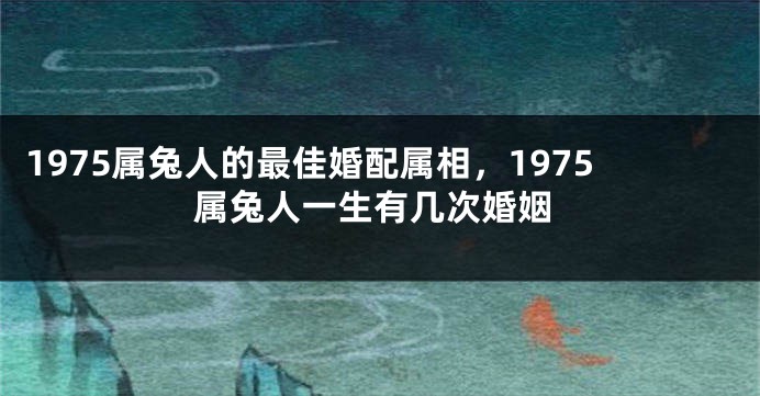 1975属兔人的最佳婚配属相，1975属兔人一生有几次婚姻