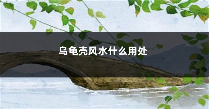 乌龟壳风水什么用处