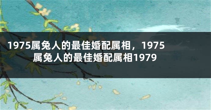 1975属兔人的最佳婚配属相，1975属兔人的最佳婚配属相1979