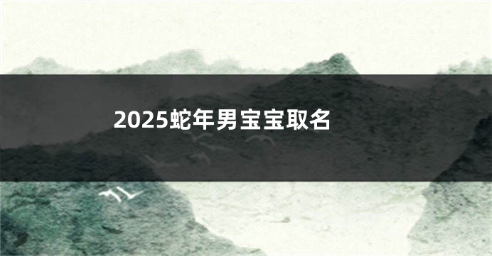 2025蛇年男宝宝取名