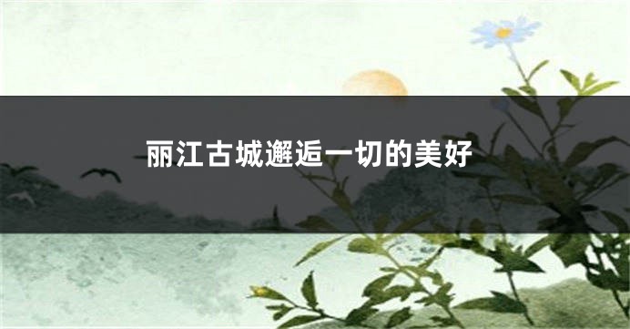 丽江古城邂逅一切的美好