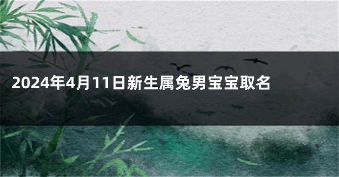 2024年4月11日新生属兔男宝宝取名