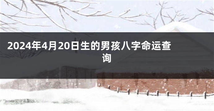 2024年4月20日生的男孩八字命运查询