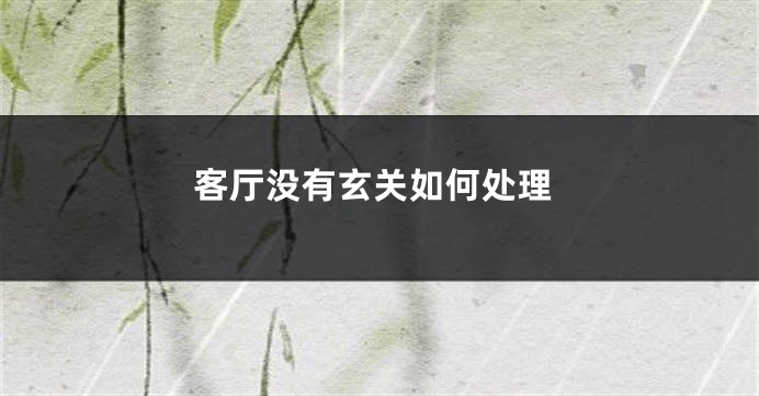 客厅没有玄关如何处理