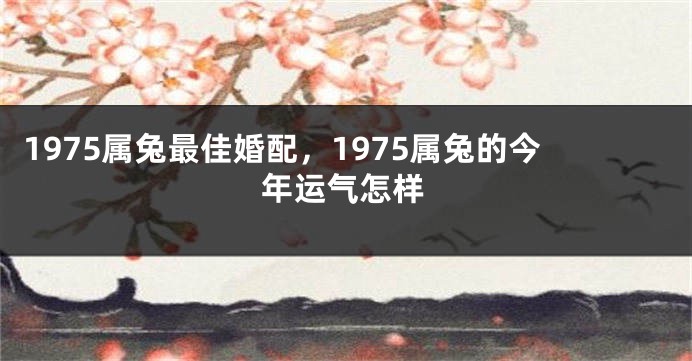 1975属兔最佳婚配，1975属兔的今年运气怎样