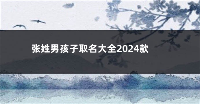 张姓男孩子取名大全2024款