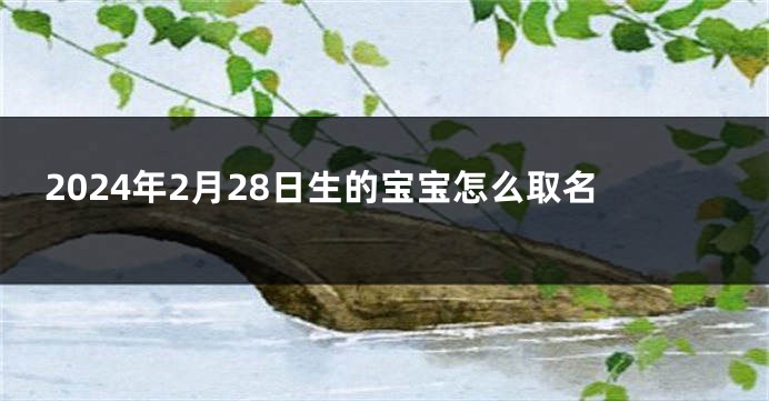 2024年2月28日生的宝宝怎么取名