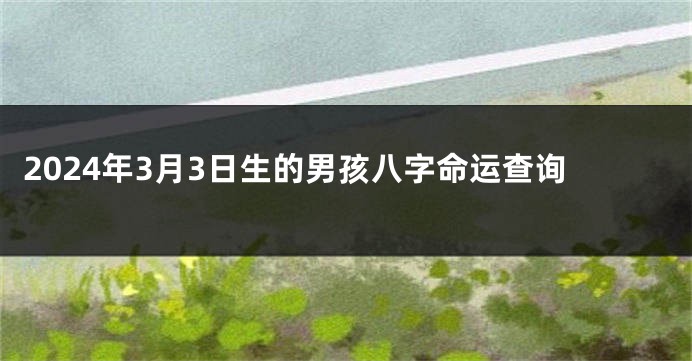 2024年3月3日生的男孩八字命运查询