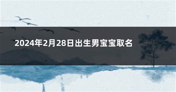 2024年2月28日出生男宝宝取名