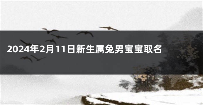 2024年2月11日新生属兔男宝宝取名