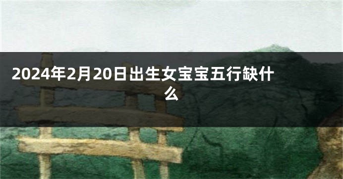 2024年2月20日出生女宝宝五行缺什么